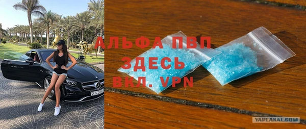 стаф Балахна