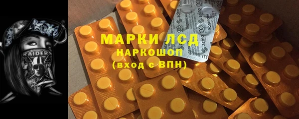 стаф Балахна
