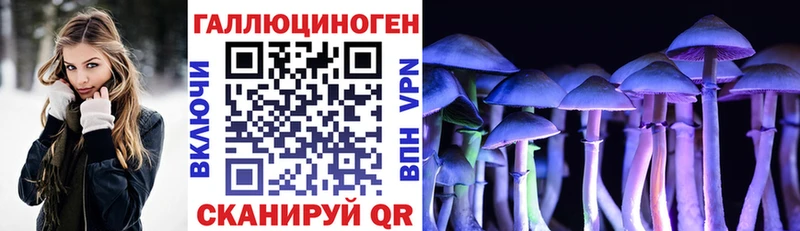 Галлюциногенные грибы GOLDEN TEACHER  Кологрив 